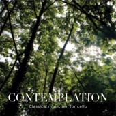 Contemplation - EP artwork