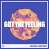 Got the Feeling - Single