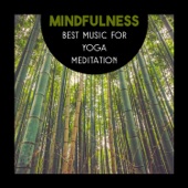 Mindfulness – Best Music for Yoga Meditation, Relaxation and Healing Therapy Through Transcendental Meditation artwork