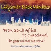From South Africa to Graceland, The Year We Met the World! (Live in Germany, 1986) artwork