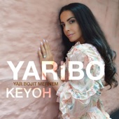 Yaribo (Yar Bojit Mernem) [Radio Edit] artwork