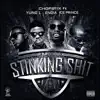 Stinking Shit (feat. Ice Prince, Yung L & Endia) - Single album lyrics, reviews, download