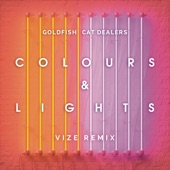 Colours & Lights (VIZE Remix) [Extended mix] artwork