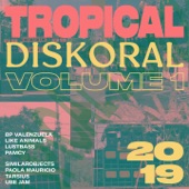 Tropical Diskoral, Vol. 1 artwork