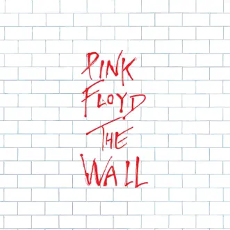 The Doctor (Comfortably Numb) [The Wall Work In Progress, Pt. 2, 1979] [Programme 1] [Remastered Band Demo] - Single by Pink Floyd album reviews, ratings, credits