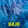 Bajo - Single