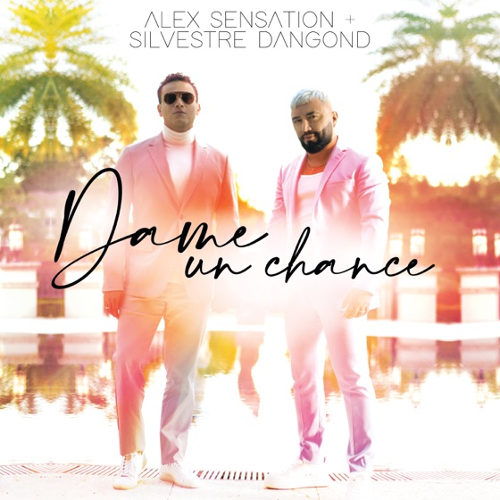 Cover artwork for Dame un Chance
