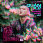 You Are My Crush (Remix) artwork