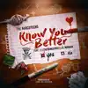 Know You Better (feat. J.I the Prince of N.Y & Narcotechs) - Single album lyrics, reviews, download