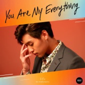 You Are My Everything (Ost.รักฉุดใจนายฉุกเฉิน) artwork