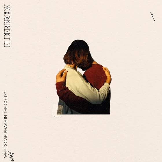 Cover artwork for Why Do We Shake In The Cold?
