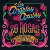 20 Rosas (feat. Americo & Jay De La Cueva) - Single