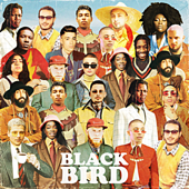 Blackbird cover