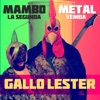 Gallo Lester - Lo 30