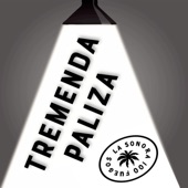 Tremenda Paliza artwork