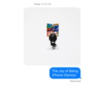 The Joy of Being (Phone Demos) artwork