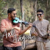 Aal Aayal (feat. Shravan Sridhar) artwork