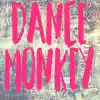 Dance Monkey (Instrumental) song lyrics