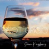 Pinot Grigio - Single