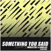 Something You Said (Club Mix) - Single album lyrics, reviews, download