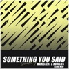 Something You Said (Club Mix) - Single