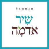 היה לי חבר היה לי אח artwork