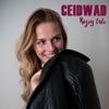 Ceidwad - Single, 2019