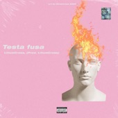 Testa fusa artwork