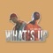 What's Up (feat. Airon Lemus) - FL lyrics