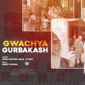 Gwachya Gurbakash artwork