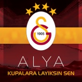 Kupalara Layıksın Sen artwork