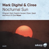 Nocturnal Sun (Fiben Remix) artwork
