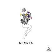 Senses artwork