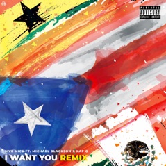 I Want You Remix (feat. Michael Blackson & Kap G) - Single