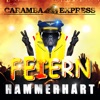 Feiern Hammerhart - Single