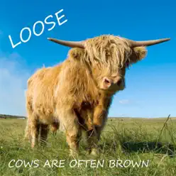 Cows Are Often Brown - Loose Cows Are Often Brown - Loose