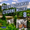 Hitovi Bosanske Izvorne Muzike 8