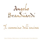 Il cammino dell'anima (Dall'opera originale di Hildegard Von Biden) artwork