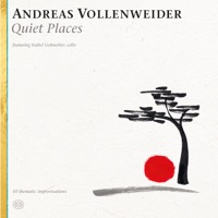 Andreas Vollenweider Ablum Cover