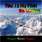 You're My Pilot artwork