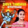 Shiva Tandava Stotram song lyrics