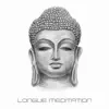 Longue meditation: Musique bouddhiste, Spiritualité du yin et du yang, Séance de méditation album lyrics, reviews, download