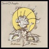 Sarah D'angelo - Poco's Lament