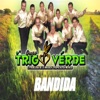 Bandida - Single