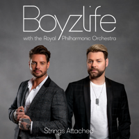 Boyzlife - Strings Attached artwork