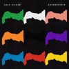 Asaf Avidan - Wildfire