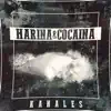 Harina y Cocaina song lyrics