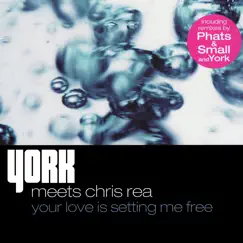 Your Love Is Setting Me Free by York & Chris Rea album reviews, ratings, credits