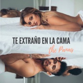 Te Extraño en la Cama artwork