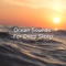 Baby Sleep Sounds - Ocean Waves For Sleep & Relaxing Music Therapy lyrics